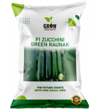 Zucchini / Tori F1 Green Raunak 10 grams